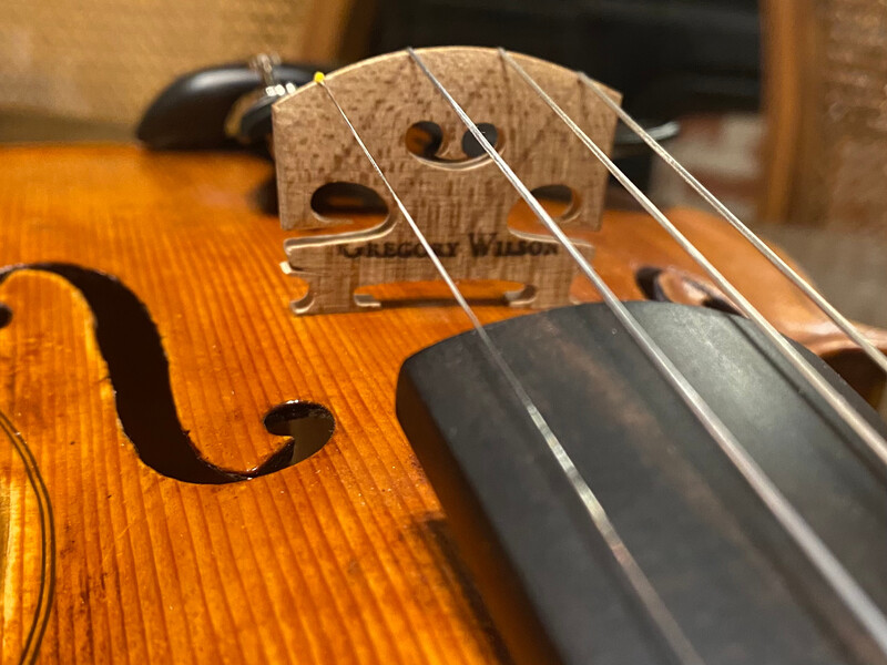 Closeup photo of the bridge and soundhole area of a violin