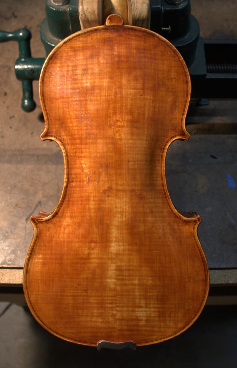 Back view of a Guarneri pattern vioiln featuring antiqued orange varnish