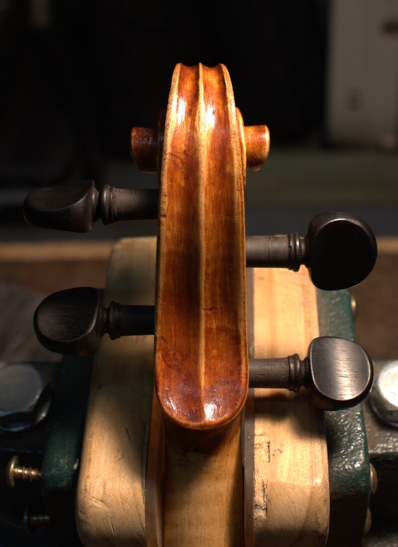 Back view of a Guarneri model violin scroll